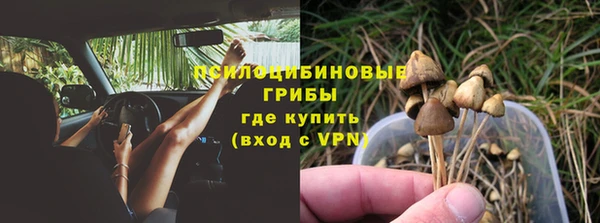 apvp Абаза