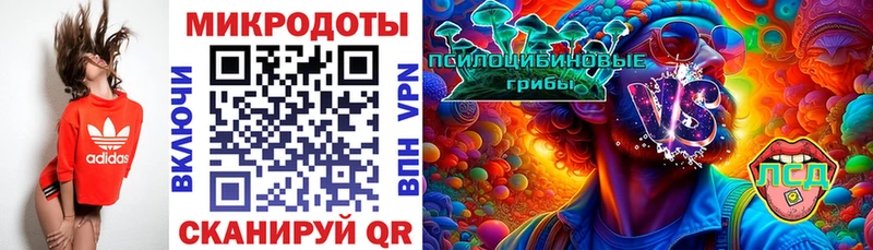 даркнет официальный сайт  Адыгейск  Галлюциногенные грибы GOLDEN TEACHER  цены наркотик 